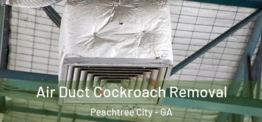  Air Duct Cockroach Removal Peachtree City - GA
