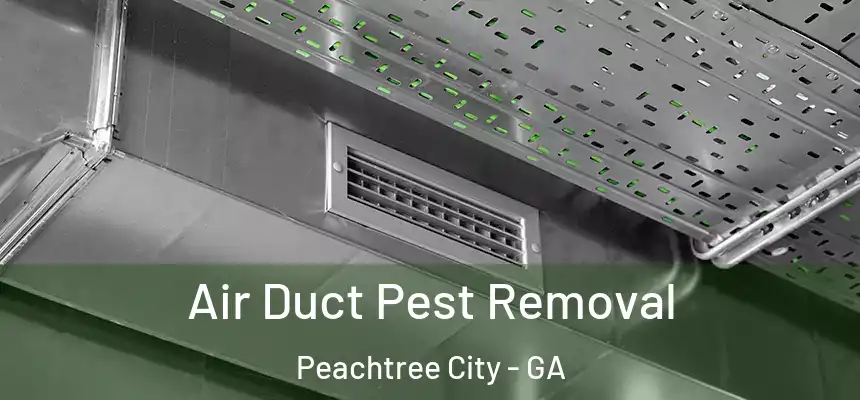  Air Duct Pest Removal Peachtree City - GA
