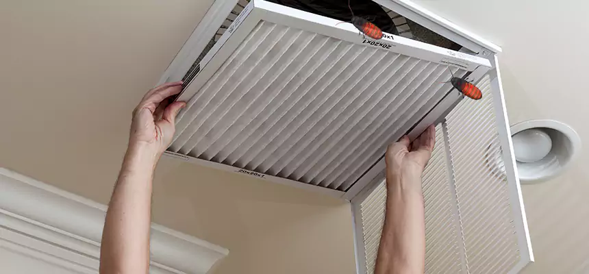 Preventive Cockroach-Proofing for Ducts in Peachtree City