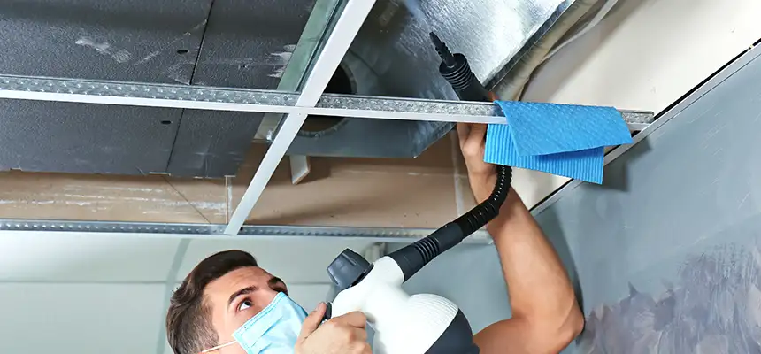 Our Air Duct Rodent Removal Services in Peachtree City, GA
