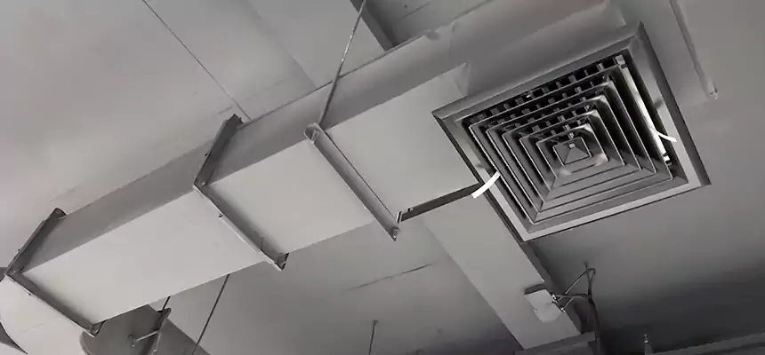 Restorative Allergy Relief Vent Cleaning – Coil, Blower & Housing Detail in Peachtree City