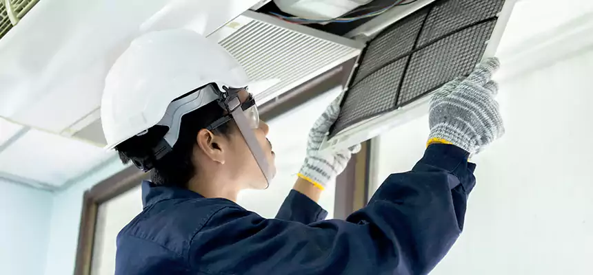 Our Mold & Mildew Removal from Air Ducts Services in Peachtree City, GA