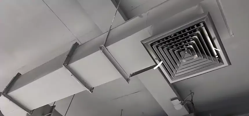 Our Pest Removal From Ducts Services in Peachtree City, GA