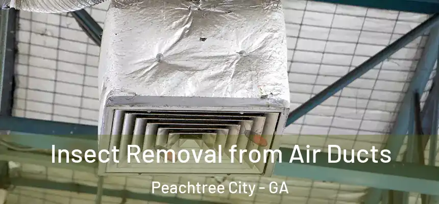  Insect Removal from Air Ducts Peachtree City - GA