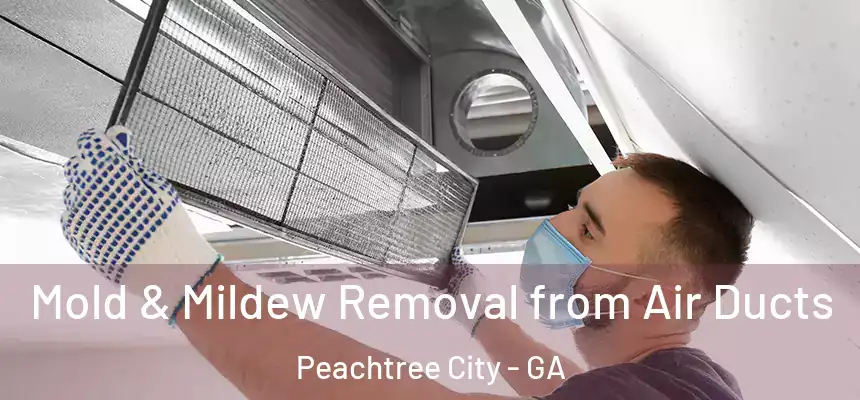  Mold & Mildew Removal from Air Ducts Peachtree City - GA