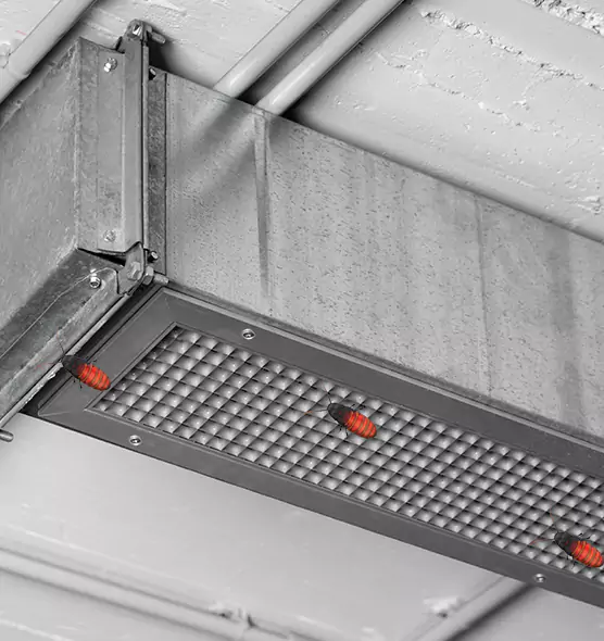 About Air Duct Cockroach Removal in Peachtree City, GA