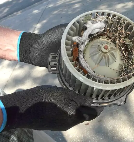 About Air Duct Rat Removal in Peachtree City, GA