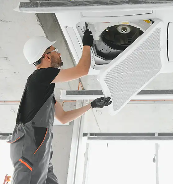 About Air Duct Rodent Removal in Peachtree City, GA