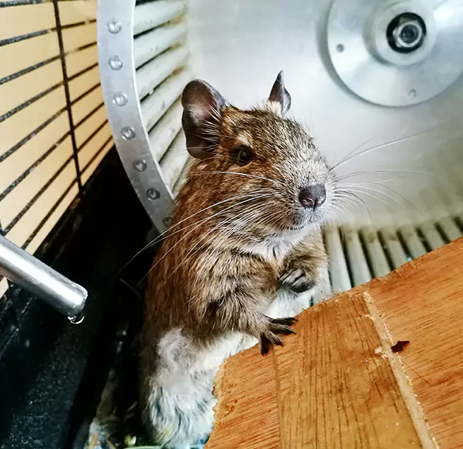 Why Homeowners & Businesses Trust Us Peachtree City, GA