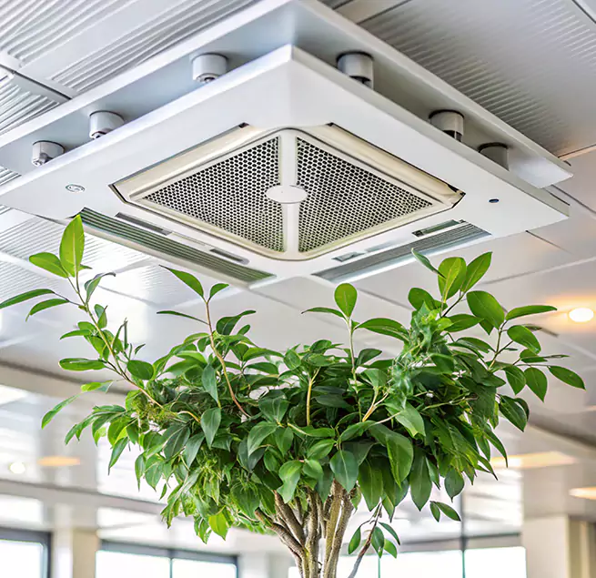 Why Homeowners & Businesses Trust Us in Peachtree City, GA