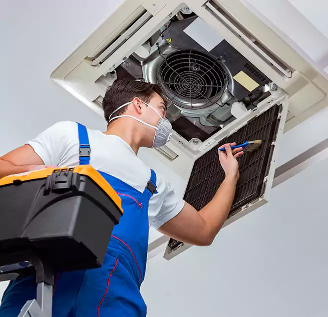 Why Homeowners & Businesses Trust Us in Peachtree City, GA?