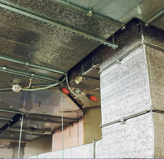 Why Homeowners & Businesses Trust Us Peachtree City, GA?